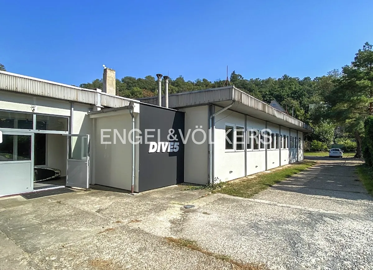Pronájem obchodního prostoru 266 m²